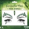 Face Jewels Enchanted Pixie