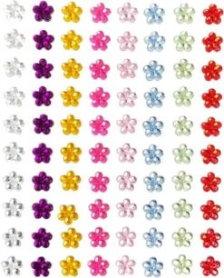 Plaksteentjes Bloemetjes 80 Stuks