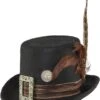 Steampunk Retro Cilinder Met Veren